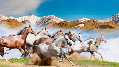 Бүгін - Дүниежүзілік жылқы күні