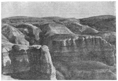 Местонахождение третичных млекопитающих у Аральского моря