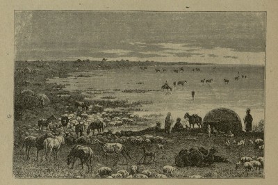 Что говорили казахи о высыхании рек и озер