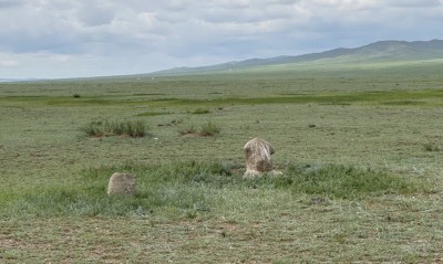 Түркіден жеткен ен байлық –  ұлттық археологияның ұлы табысы