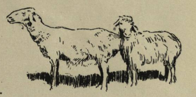 Как боролись с чумой рогатого скота в Акмолинской области