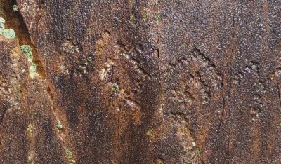 В Казахстане обнаружили более 1200 петроглифов и древнетюркскую руническую надпись