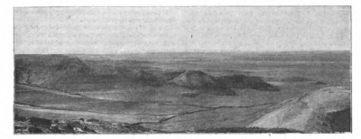 О раскопках индрикотерия в Тургайской области