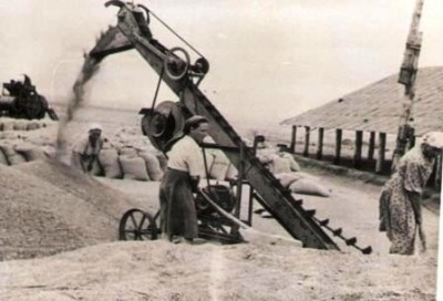 Кражи, приписки и лишний скот: кто и почему воровал в колхозах Казахстана