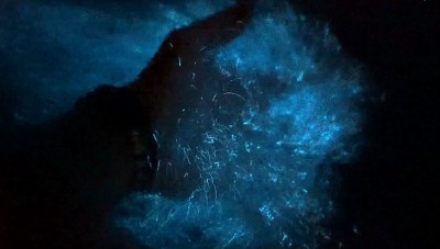 «Аватар» түсті айдын көл