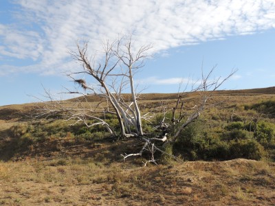Сакральные места в творчестве Тараса Шевченко: Мани аулие 