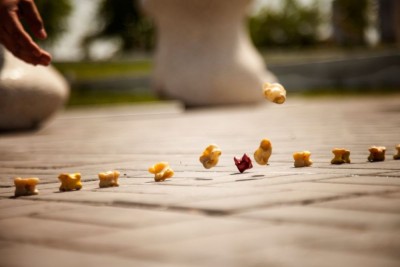 «Казконтент» АҚ «асық атудан» бірінші республикалық жарыс өткізеді