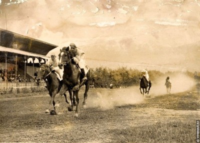 Желмен жарысқан жүйрік