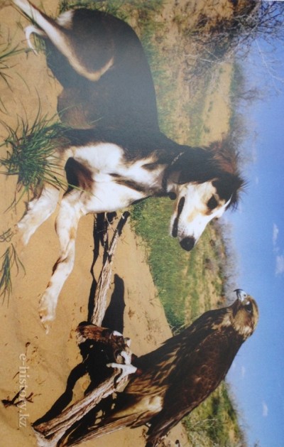 Role of the dog among Turkic people