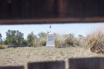 IN THE FOOTSTEPS OF ALASH ACTIVISTS