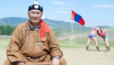 Күрес өнерінің қаршығасы