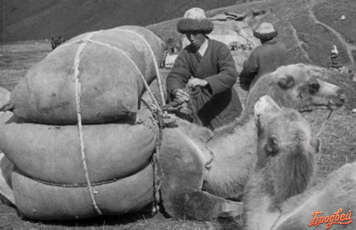 Қазақпен қайта қауышқан «ТҮРКСІБ»