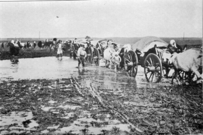 НЕДОСТАТКИ ПЕРЕСЕЛЕНЧЕСКОЙ ПОЛИТИКИ