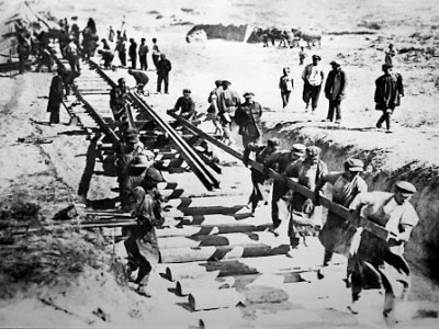 Проект «Алгемба»