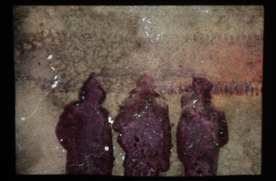 Персональная выставка Ольги Кройтор  