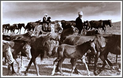 Көшпенділік маусымы 