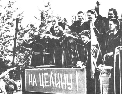 История целинника 