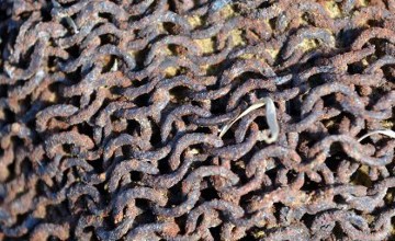 The archaeologists have discovered the armors of batyrs in the Kyzylkum desert.