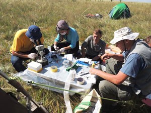 Scientists generalize results