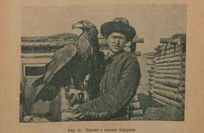 Охотничий промысел в начале ХХ века