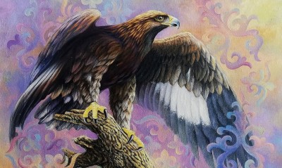 Қыран бүркіттің сыны