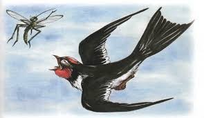 Қалің қалай, қазақ мультфильмі?