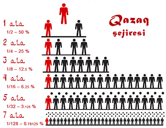 Генетические исследования костных останков из некрополя «Хан Моласы»