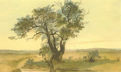 Сакральные места в творчестве Тараса Шевченко: Джангыз-агач