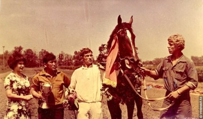 Вороной красавец