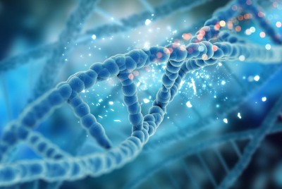 Қазақ халқының генетикалық тарихы 7 мың жылға тереңдеді – жаңа зерттеу