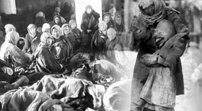 Зарубежные ученые о сталинской коллективизации