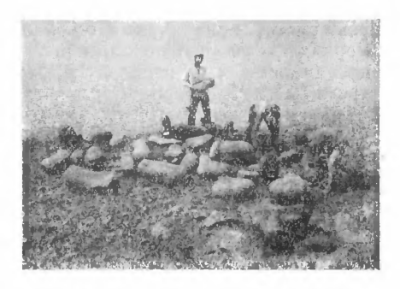 Раскопки фауны гиппариона на Иртыше