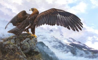 Қыран сыны (1 бөлім)