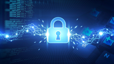 30 қараша - Ақпаратты қорғаудың халықаралық күні