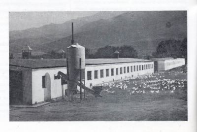 Kazakh SSR State Farms in the 1950th