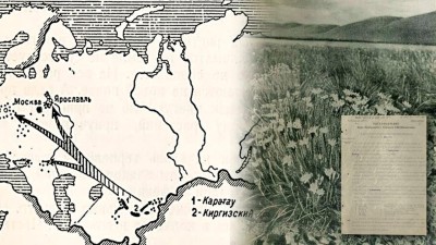 Как скромный одуванчик из казахских степей стал стратегическим оружием Победы