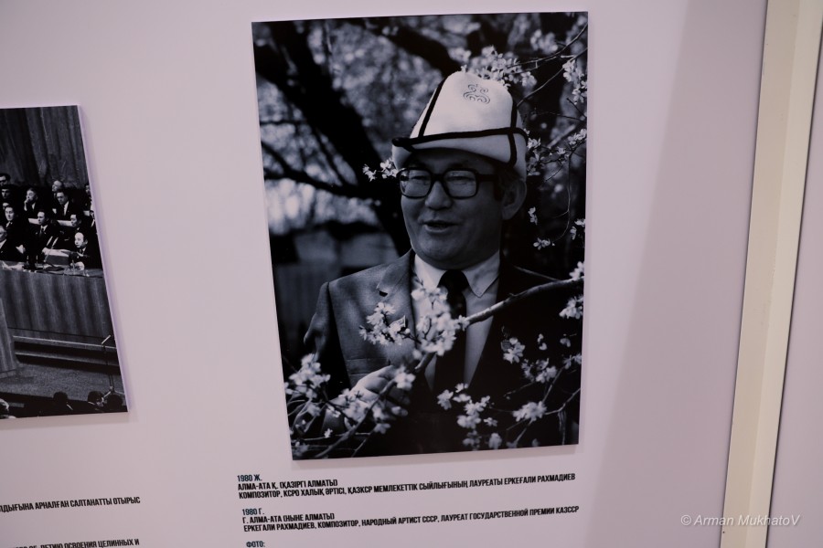 ARMA6758.JPG - фото 4 - e-history.kz