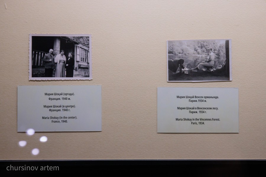 cd146a01-1bc8-464b-86d7-2548adef693d.jfif - фото 33 - e-history.kz