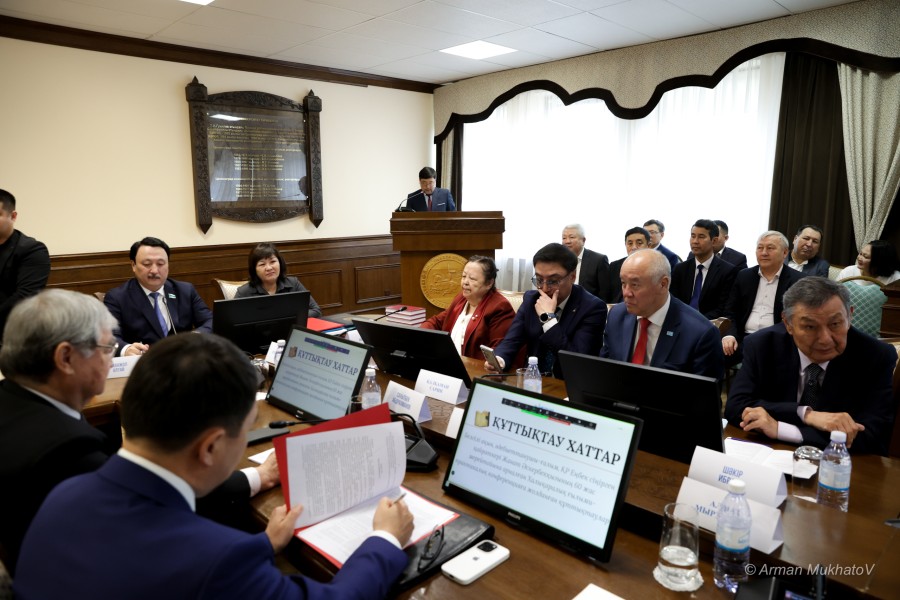 ARMA0489.JPG - фото 5 - e-history.kz