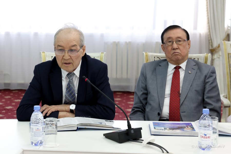 ARMA2336.JPG - фото 13 - e-history.kz