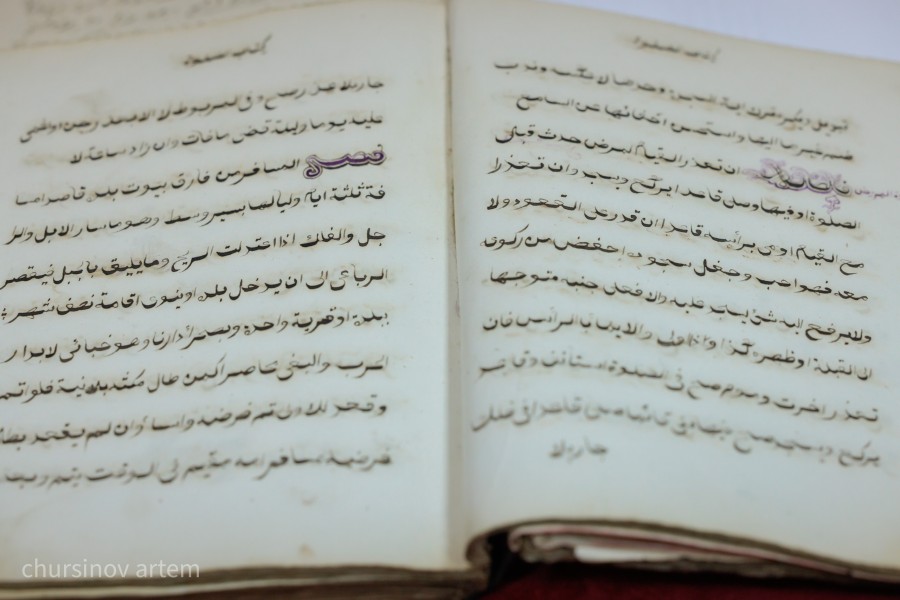 TEMA4564.jpg - фото 6 - e-history.kz