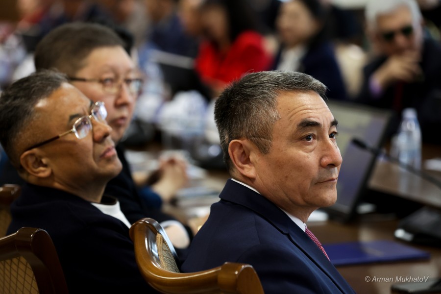 ARMA0405.JPG - фото 1 - e-history.kz