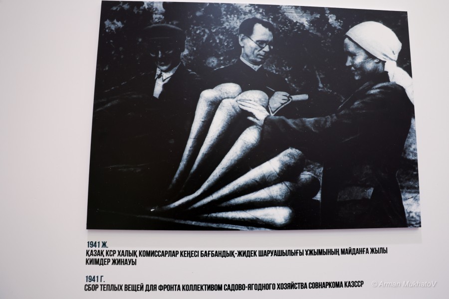 ARMA6673.JPG - фото 34 - e-history.kz