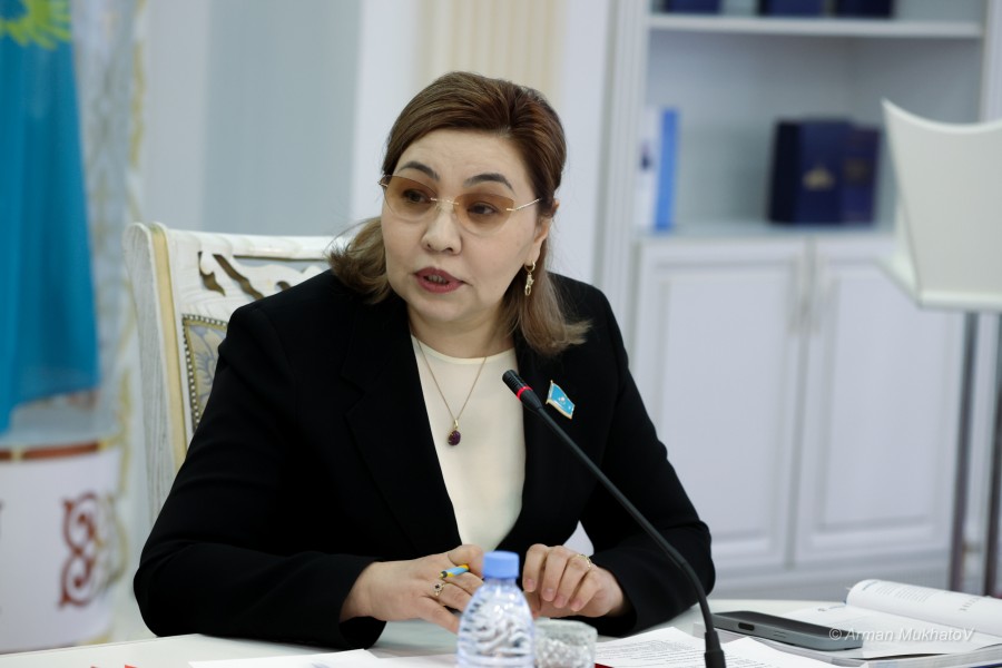 ARMA2532.JPG - фото 15 - e-history.kz