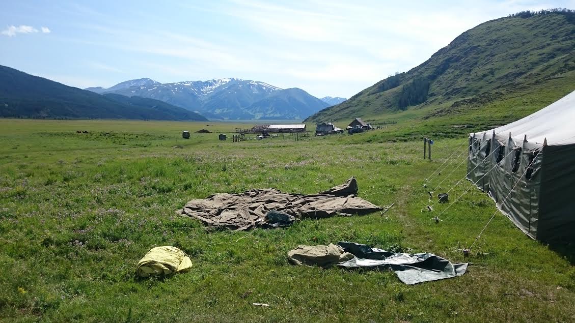 "Altai —a golden cradle"