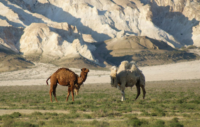 Rukhani Zhangyru: the Meaning of sacred Mangystau soil