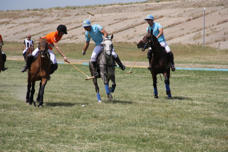 HISTORY OF POLO