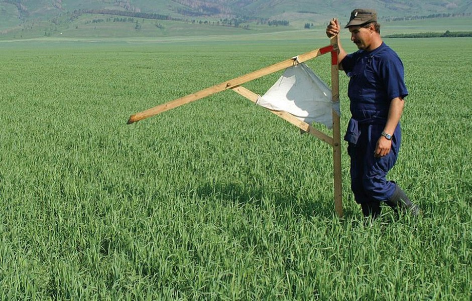 Introduction of land reforms 