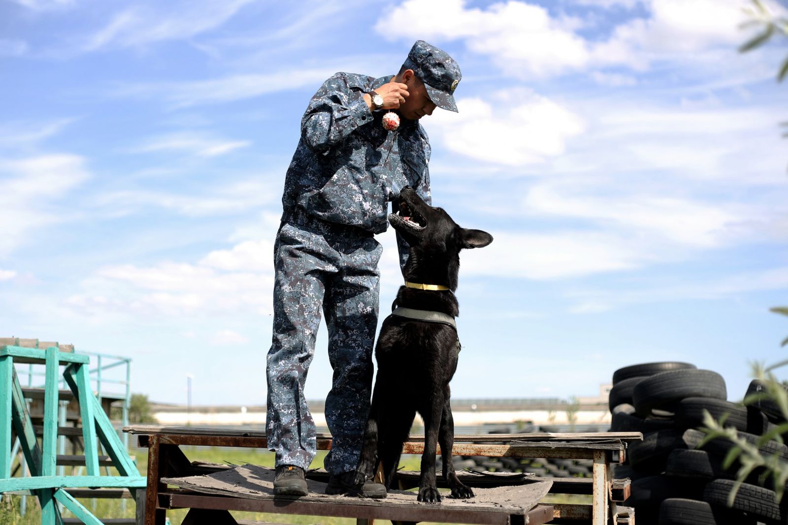 Man’s best friend