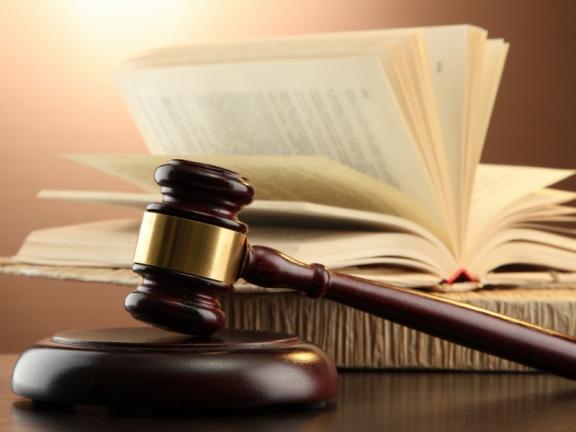 Заң барлығынан жоғары болуға тиіс – сарапшы пікірі